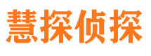 武陵市侦探公司